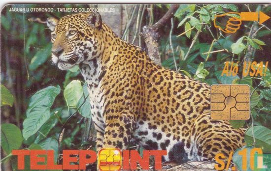 Jaguar