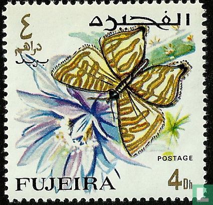 Papillons   - Image 1