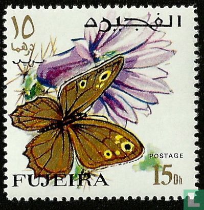 Papillons  - Image 1