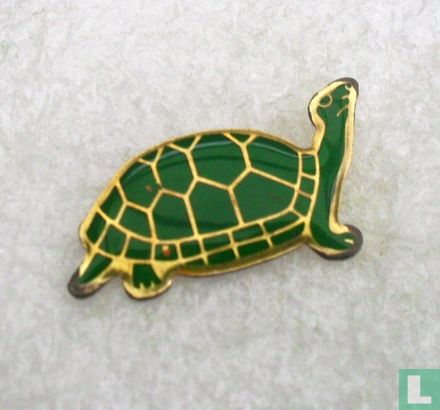 Schildpad