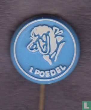 1. Poedel [white on blue]
