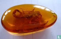 Schorpioen in amber
