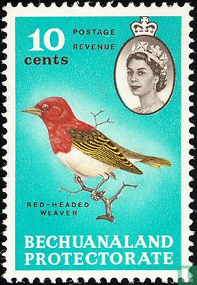 Birds and motifs of the country 