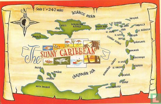 The Sunny Caribbean