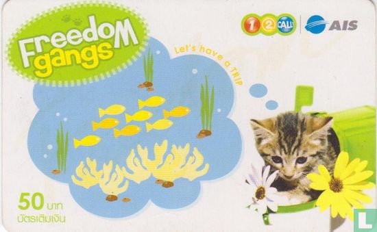 Freedom gangs - Cat - Image 1