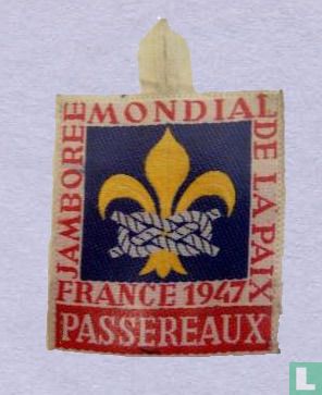 Participants badge 6th World Jamboree - Passereaux