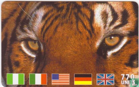 Tiger eyes with flags