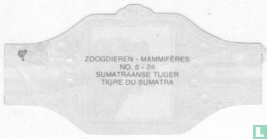 Sumatraanse tijger - Bild 2