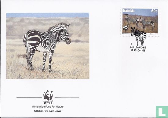 WWF-Hartmann Mountain zebra