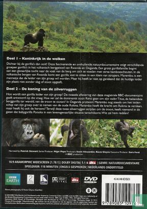 Mountain gorilla - Een gedetailleerd en adembenemend portret van onze naaste verwant - Image 3