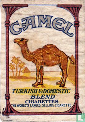 Camel Turkish & Domestic