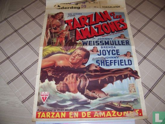 Tarzan en de Amazones