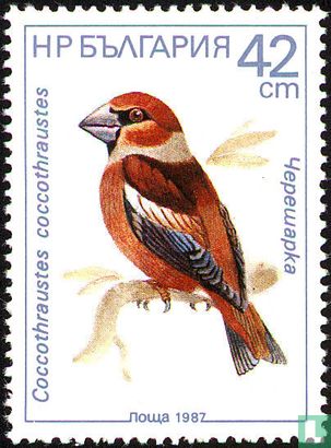 Oiseaux chanteurs