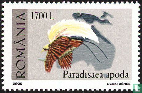 Paradiesvögel  
