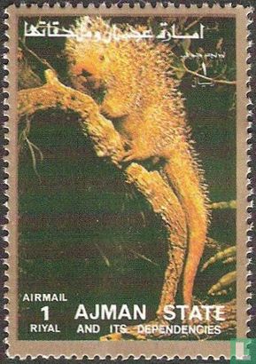Mammals  