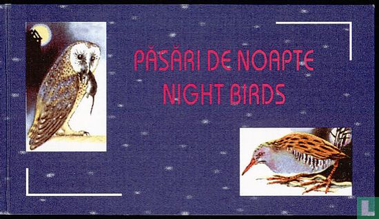Nocturnal Birds