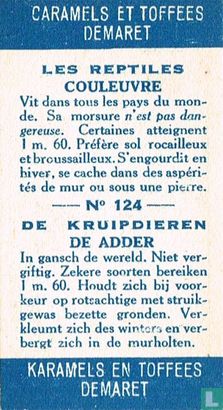De adder - Afbeelding 2
