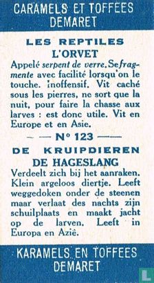 De hageslang - Afbeelding 2