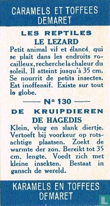 De hagedis - Bild 2