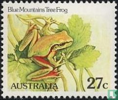 Blue Mountains tree frog