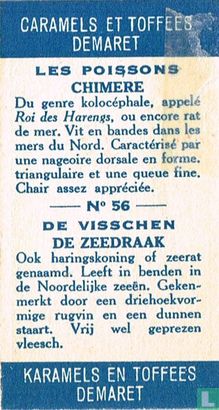 De zeedraak - Bild 2