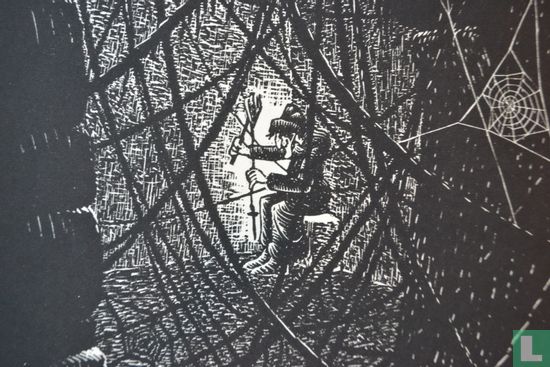 M.C. Escher; Spinrag - Bild 3