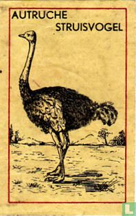 Autruche Struisvogel - Afbeelding 1