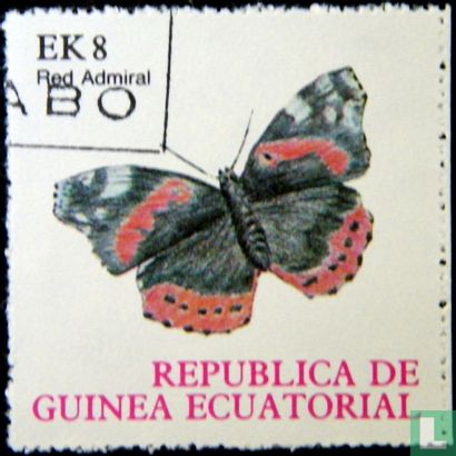 Guinea Equatorial, Republic, Butterflies
