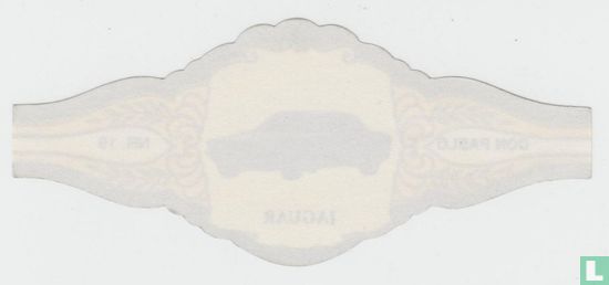 Jaguar - Bild 2