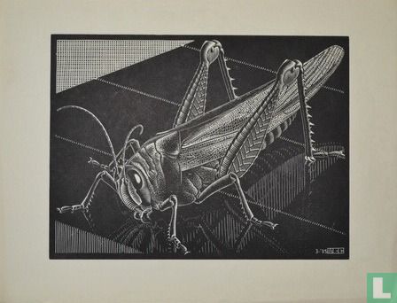 M.C. Escher Grasshopper - Image 1