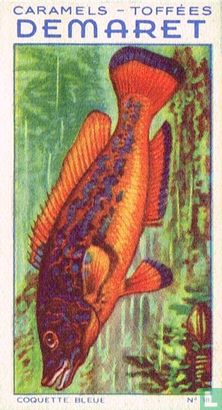 De blauwe lipvisch - Bild 1