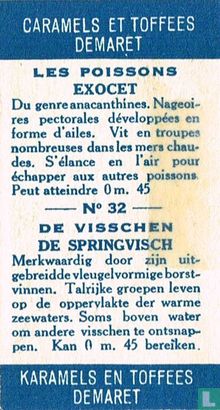 De springvisch - Bild 2