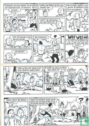 Willy and Wanda: De junglebloem (p.37)