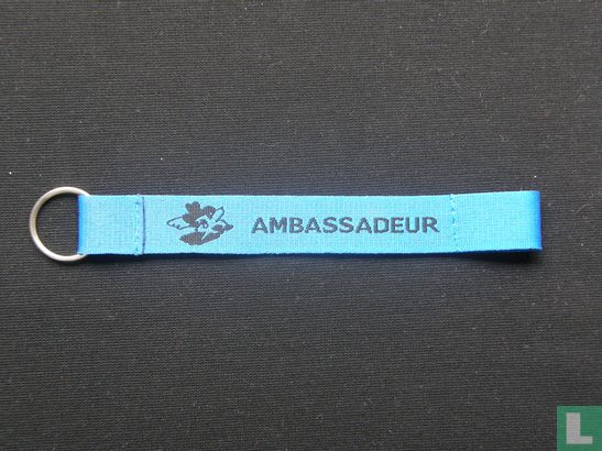 Ambassadeur Scouting 2010 - Bild 1