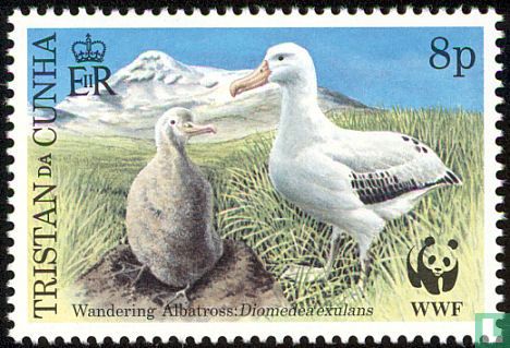 WWF - Reuzen Albatros 