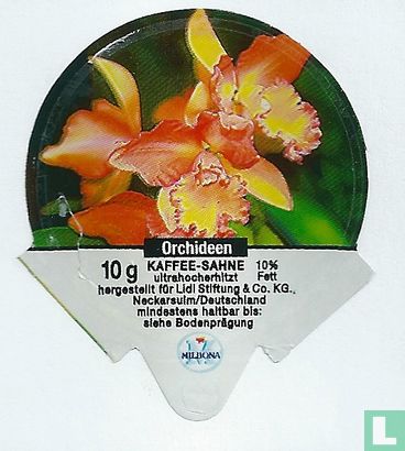 Orchideen 2 
