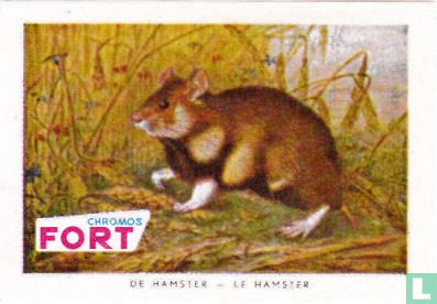 De Hamster
