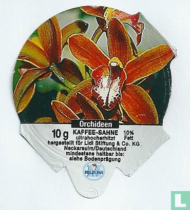 Orchideen 2 