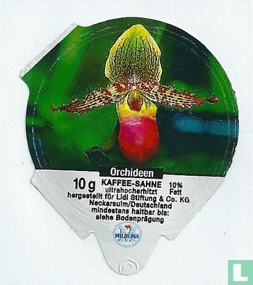 Orchideen 2  