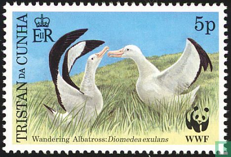 WWF-Giant Albatros