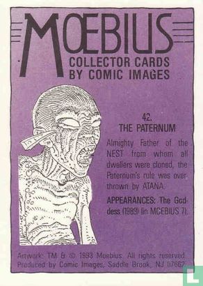 The Paternum - Image 2
