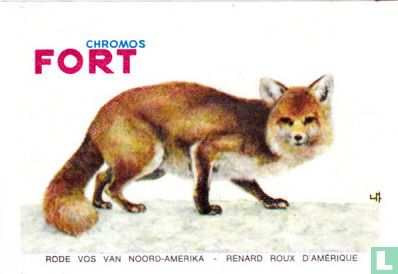 Rode vos van Noord Amerika