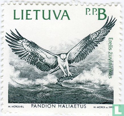 Birds of the Baltic coast