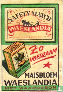 Waeslandia - Maisbloem