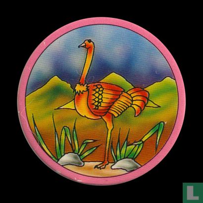 Struisvogel - Afbeelding 1