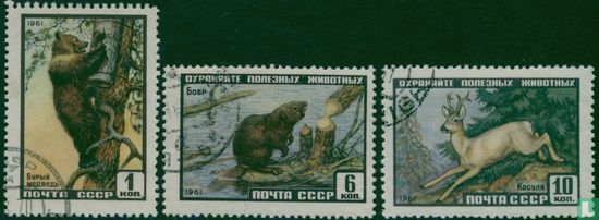 Russes d'animaux sauvages