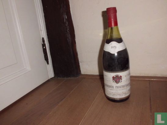 Bourgogne Passetoutgrains - Image 1