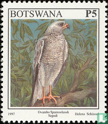 Ovambosperber