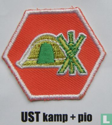 Vaardigheidsinsigne Uitdagende Scouting Technieken - Kamp en pionieren (Basisfase)