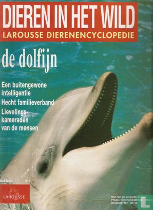 De Dolfijn - Bild 1